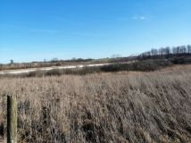 Działka rolna Muntowo. Zdjęcie 1