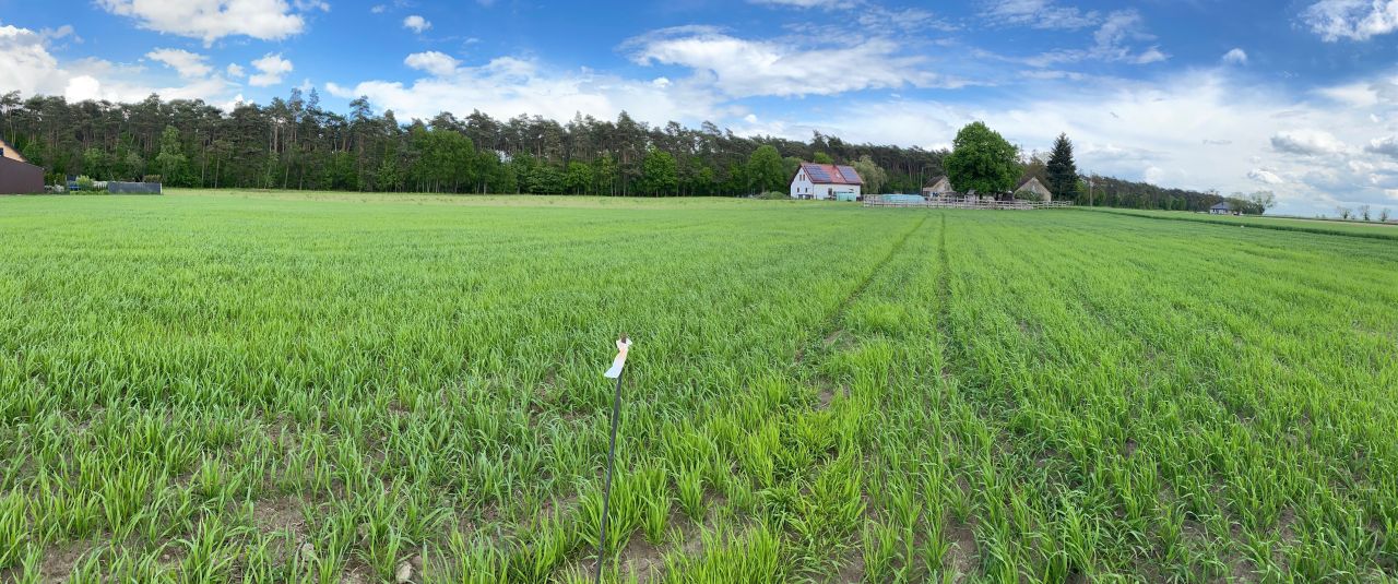 Działka budowlana Srocko Małe. Zdjęcie 3