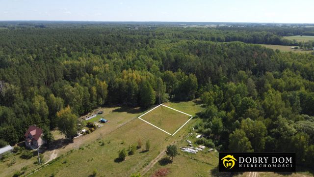 dom wolnostojący, 4 pokoje Zwierki. Zdjęcie 12