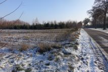 Działka rolno-budowlana Kamieniec. Zdjęcie 1