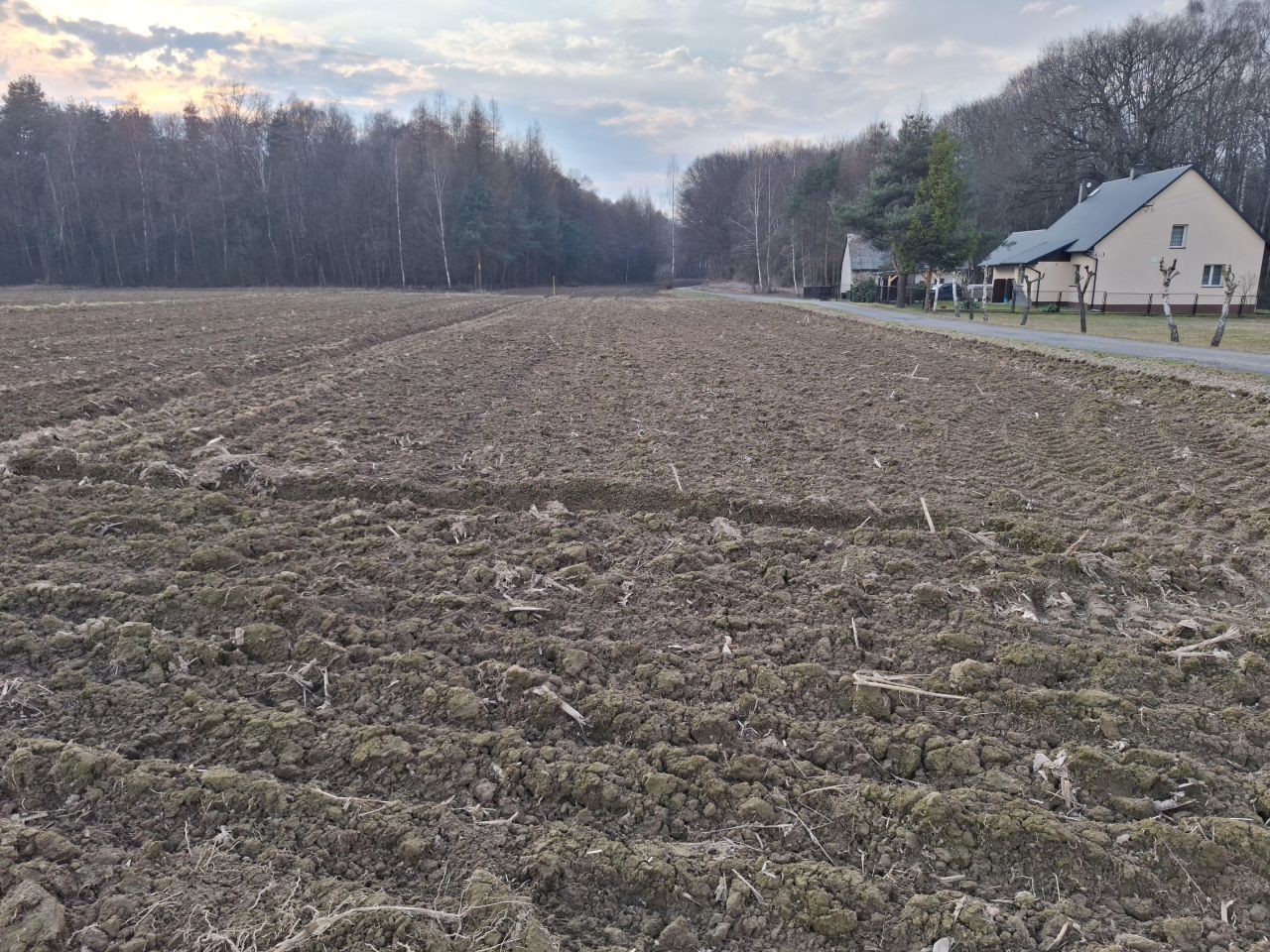 Działka rolno-budowlana Piotrowice, ul. Graniczna. Zdjęcie 4