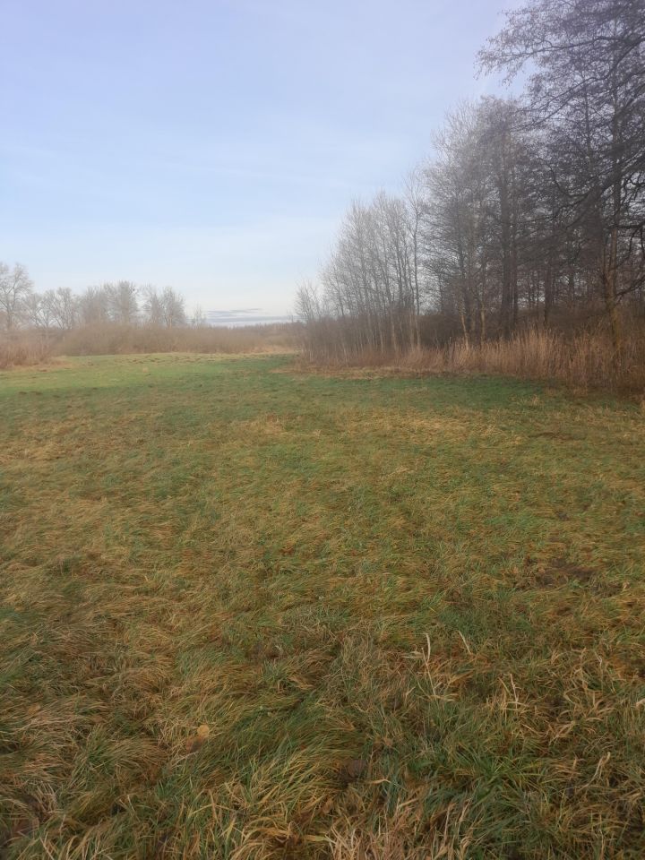 Działka rolna Tomaszowice-Kolonia. Zdjęcie 2