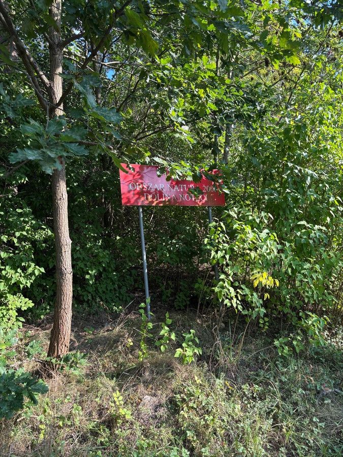 Działka budowlana Strzelewo. Zdjęcie 4