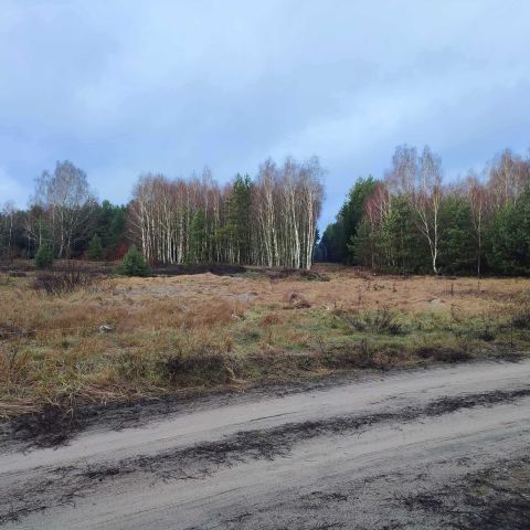 Działka rolno-budowlana Krąplewice Nowe Krąplewice. Zdjęcie 1