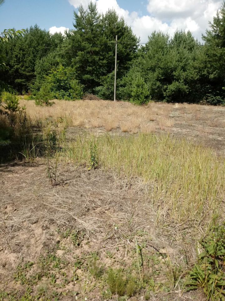 Działka rekreacyjna Ostrykół Dworski. Zdjęcie 3