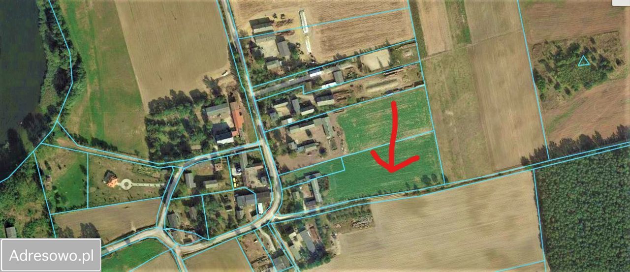 siedlisko, 3 pokoje Komratowo. Zdjęcie 12