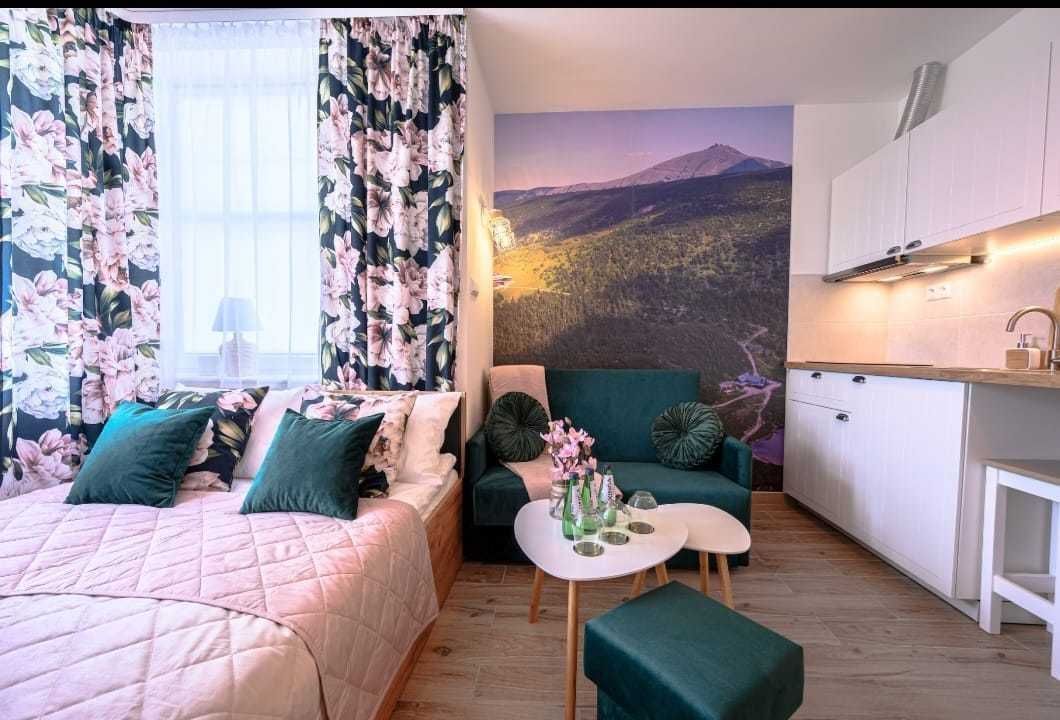 Mieszkanie 1-pokojowe Karpacz. Zdjęcie 3