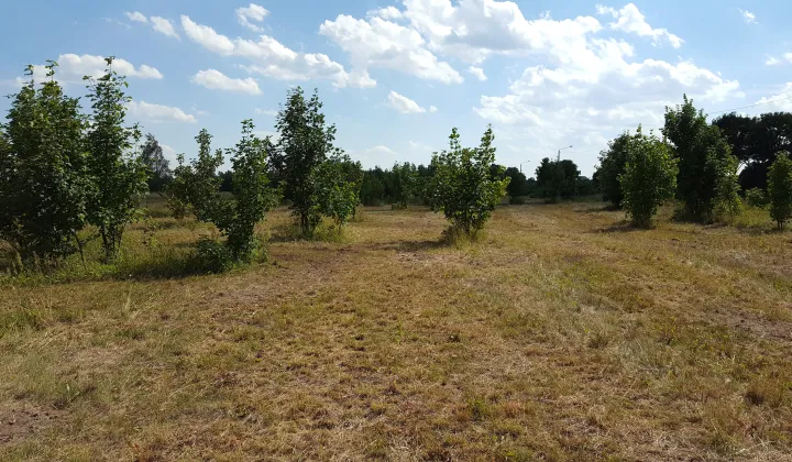 Działka budowlana Szczytkowice