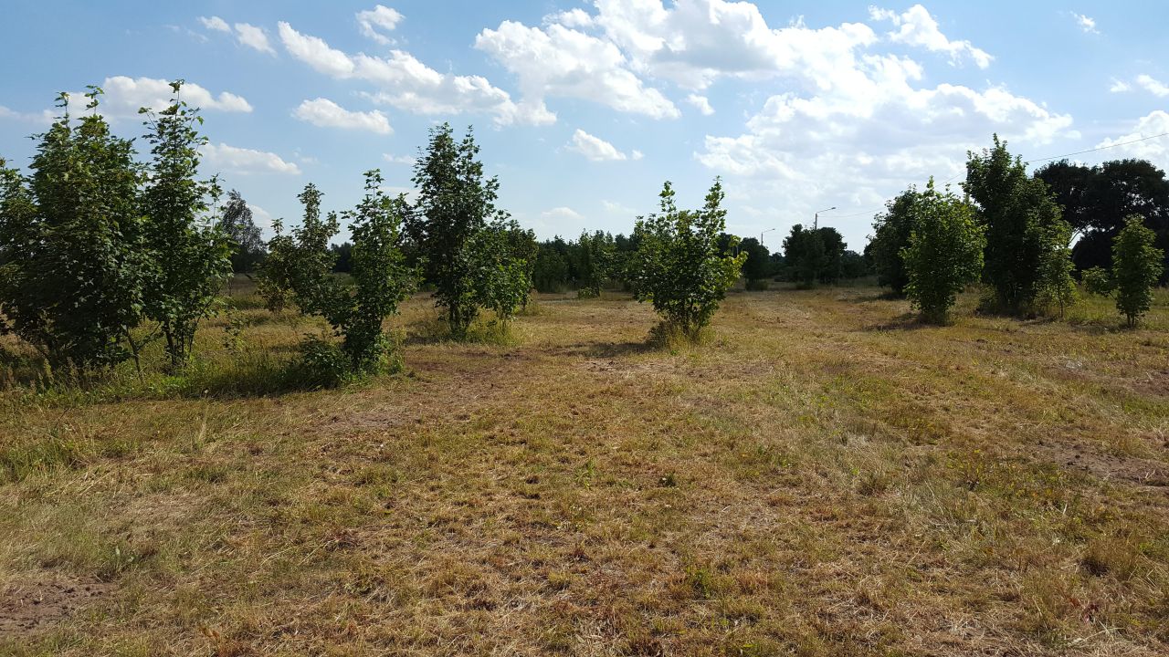 Działka budowlana Szczytkowice