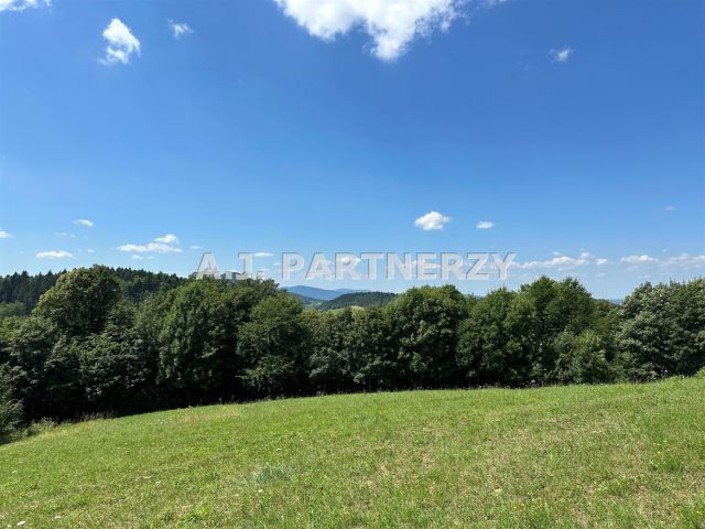 Działka Pasierbiec. Zdjęcie 7