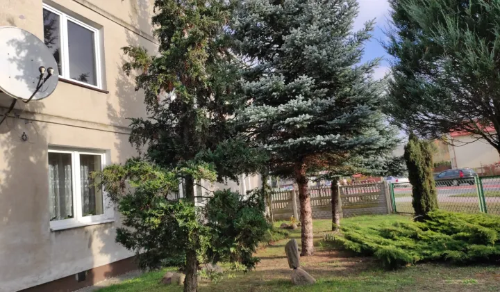Mieszkanie 3-pokojowe Dęblin Żdżary, ul. Kocka