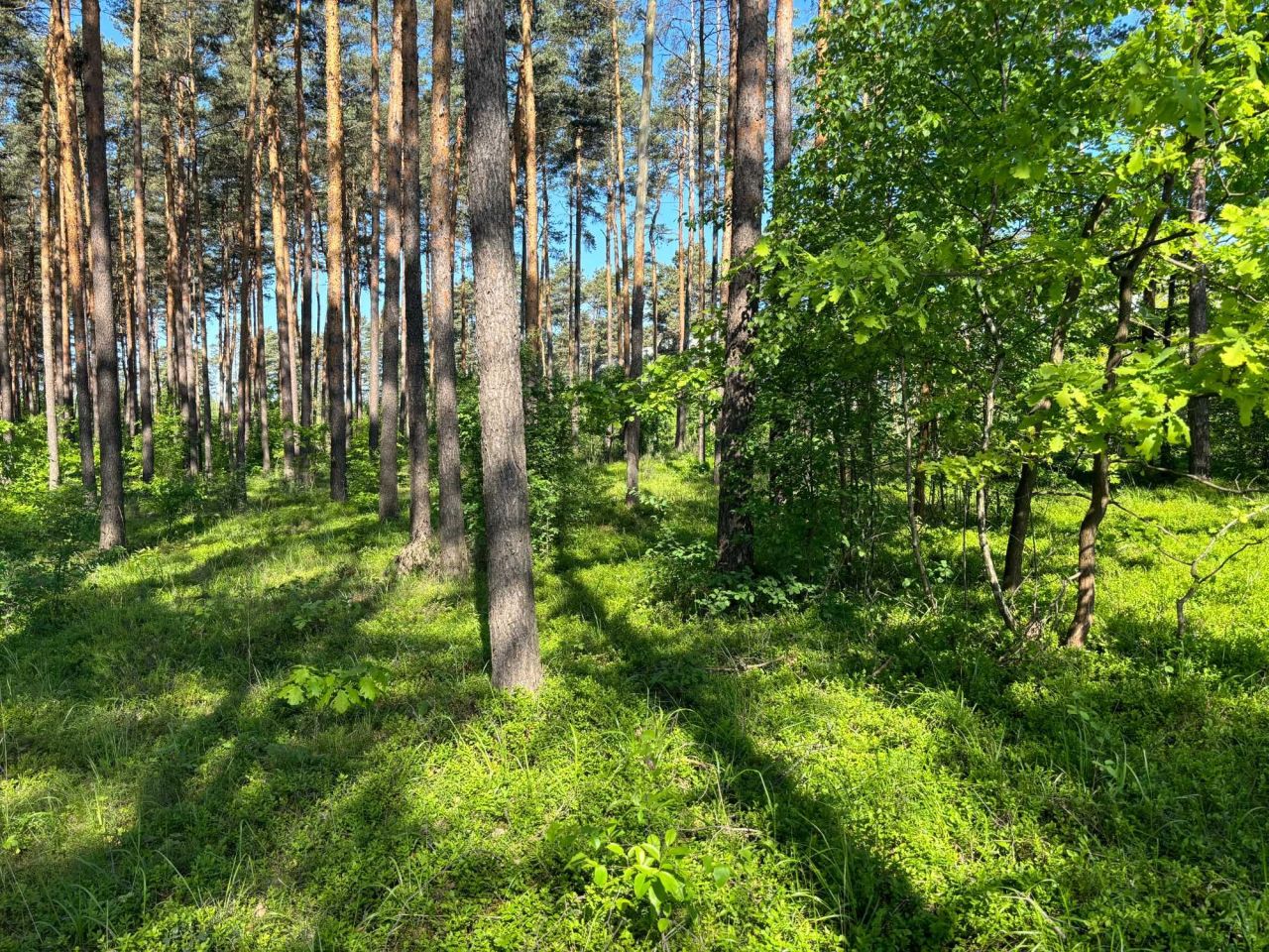 Działka inwestycyjna Stalowa Wola, ul. Władysława Grabskiego. Zdjęcie 5