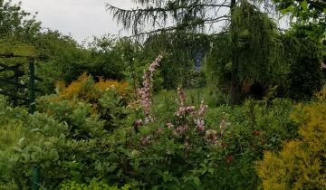 Działka rod Warszawa Ochota, ul. Wirażowa