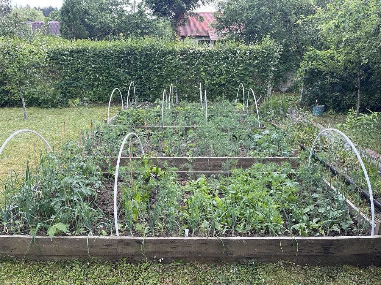 Działka rod Kieźliny. Zdjęcie 6