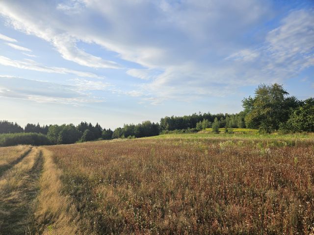 Działka siedliskowa Jodłowa Wiszowa. Zdjęcie 4