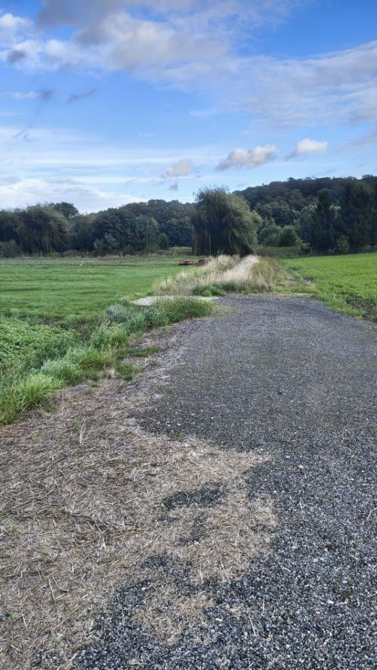 Działka rolno-budowlana Boleścin. Zdjęcie 5