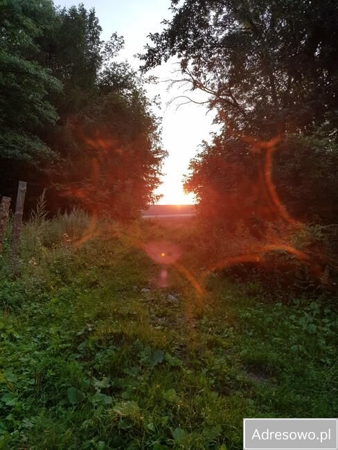 Działka Nasiechowice. Zdjęcie 9
