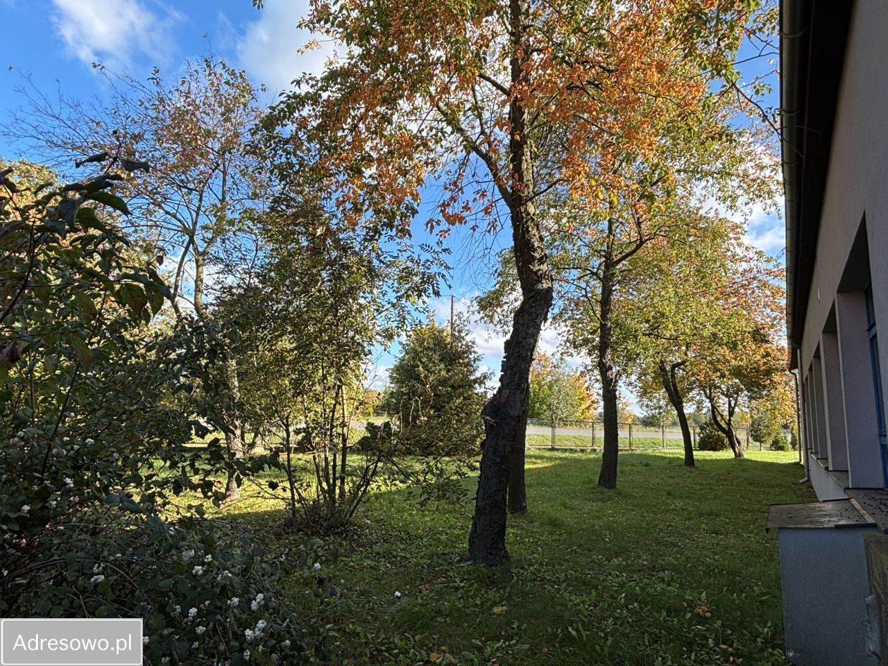 Hala/magazyn Chrząstowice, ul. Ozimska. Zdjęcie 11