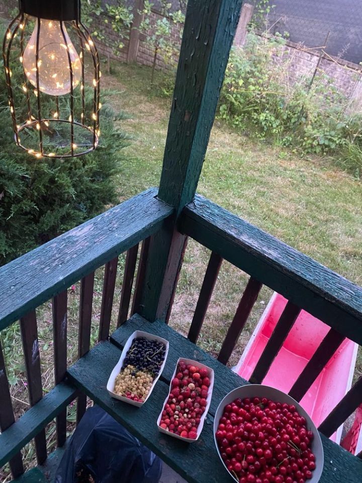 Działka rod Kraków Łagiewniki. Zdjęcie 8