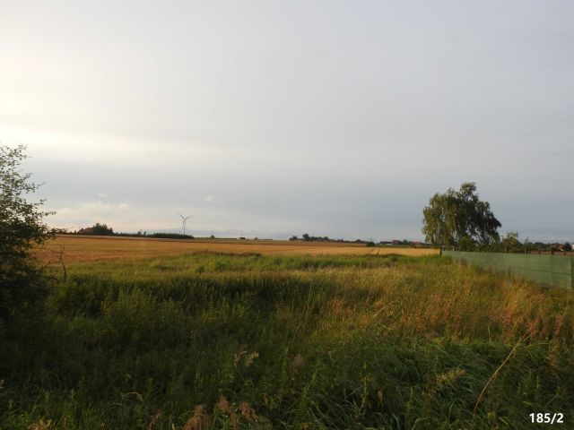 Działka budowlana Kargoszyn, ul. Klonowa. Zdjęcie 1