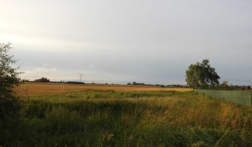 Działka budowlana Kargoszyn, ul. Klonowa