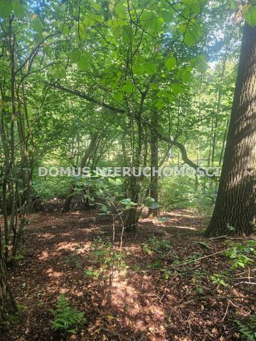 Działka leśna Nagawki. Zdjęcie 3