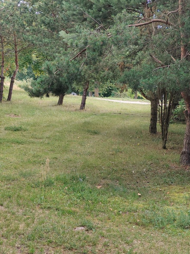 Mieszkanie 2-pokojowe Mrągowo, os. Nikutowo. Zdjęcie 22