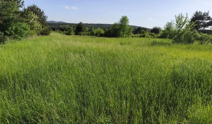 Działka rolno-budowlana Kwaśniów Dolny, ul. Cieślińska