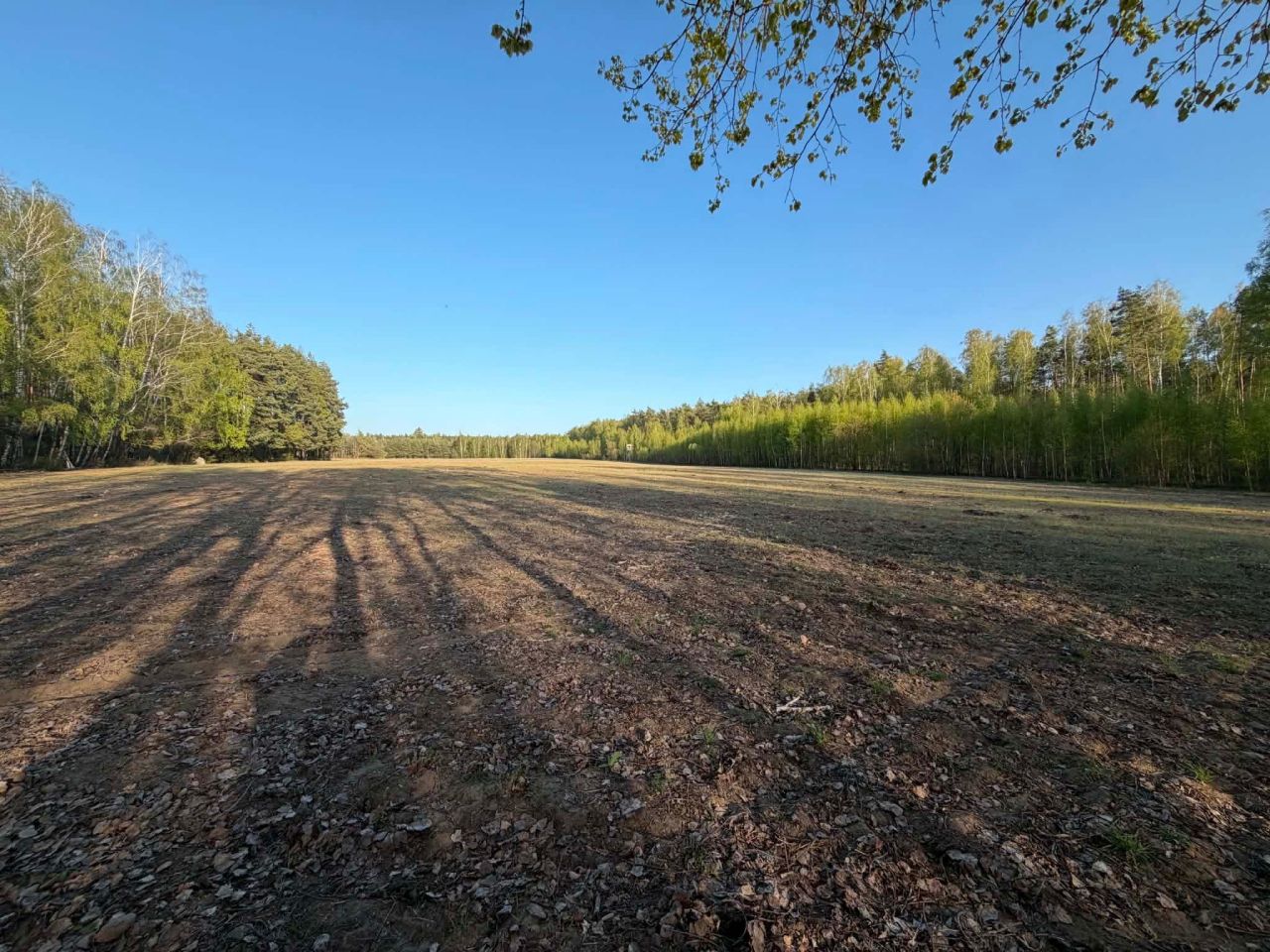 Działka rolno-budowlana Kubice. Zdjęcie 7