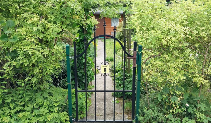 Działka rod Warszawa Ochota, ul. Sąchocka