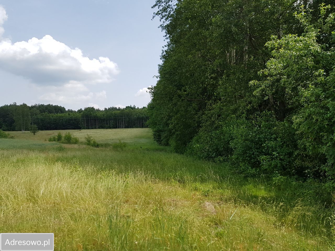 Działka budowlana Kontrewers. Zdjęcie 14