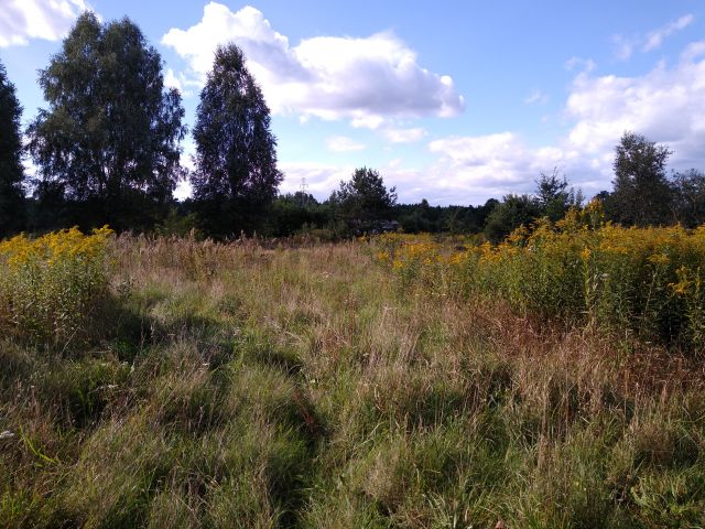 Działka budowlana Stanisławów Pierwszy, ul. Regatowa. Zdjęcie 1