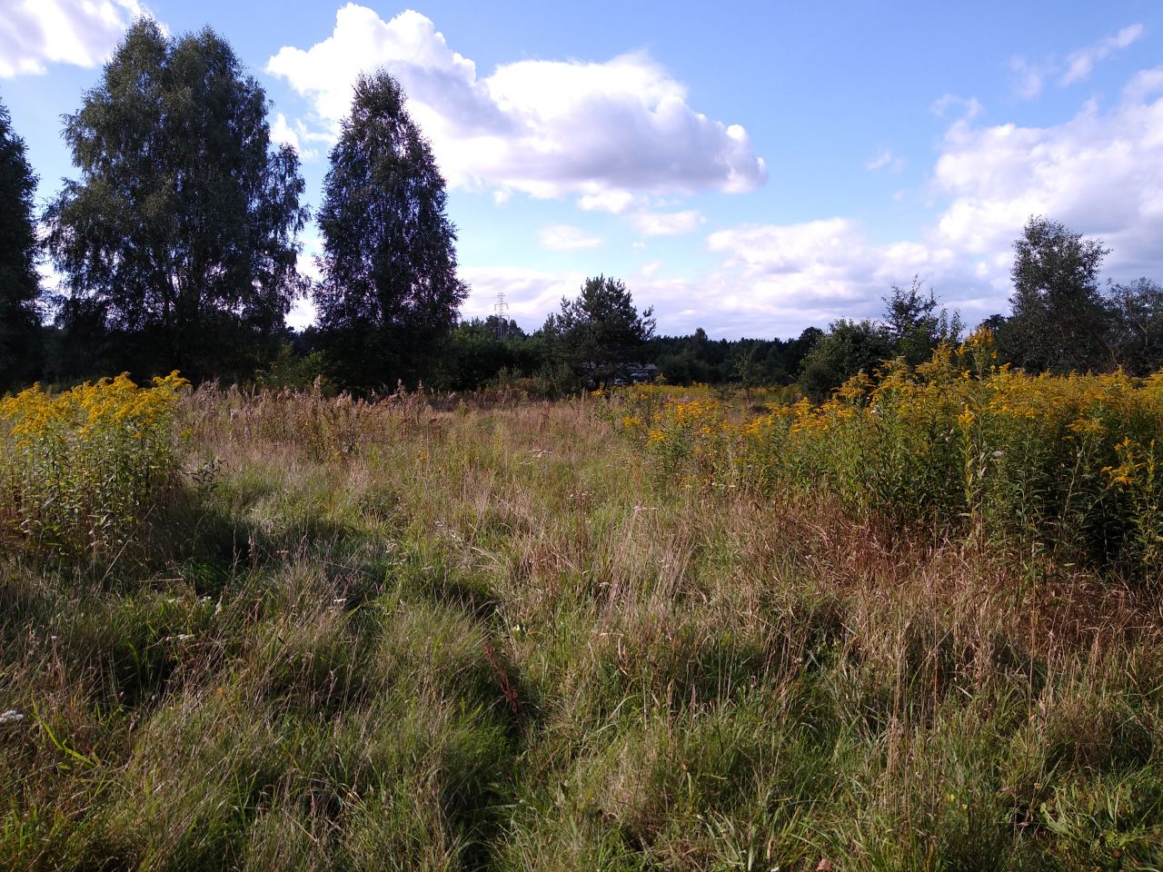 Działka budowlana Stanisławów Pierwszy, ul. Regatowa
