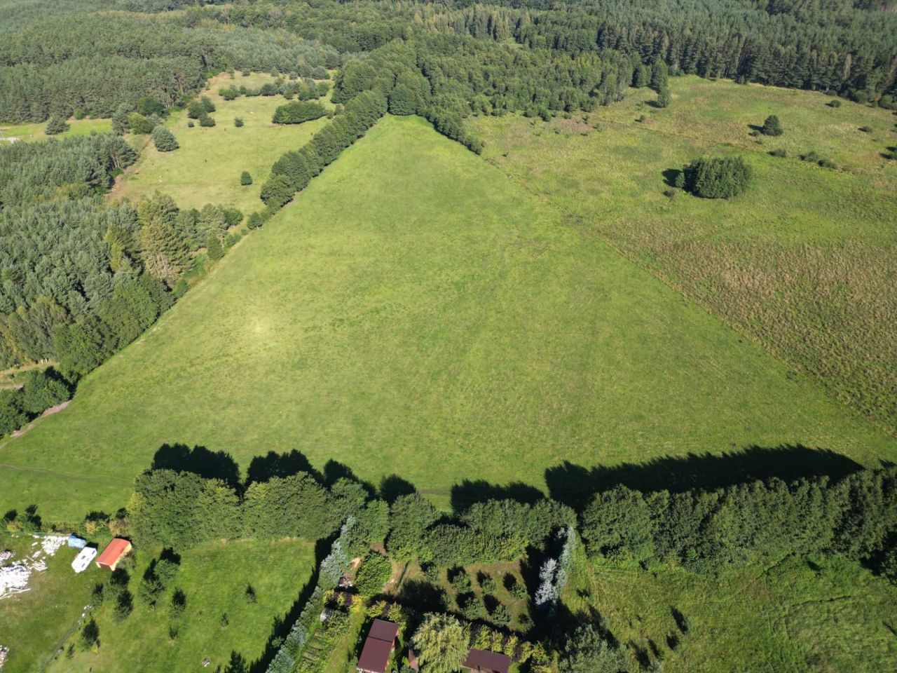 Działka rolna Zabierzewo. Zdjęcie 4