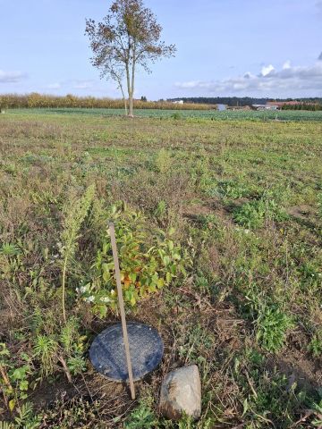 Działka rolno-budowlana Mochle. Zdjęcie 3