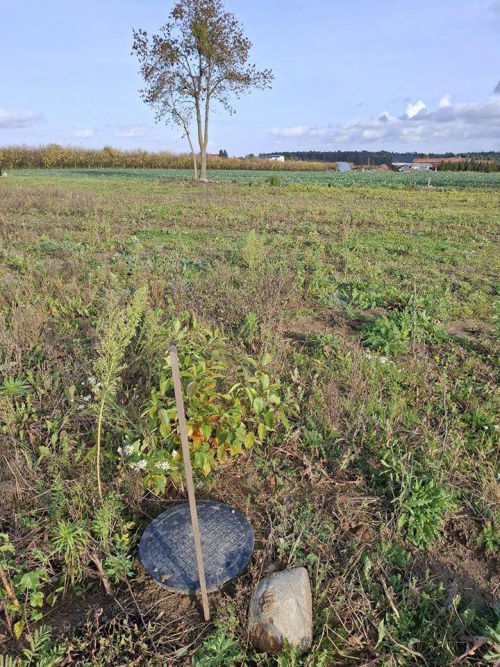 Działka rolno-budowlana Mochle. Zdjęcie 3