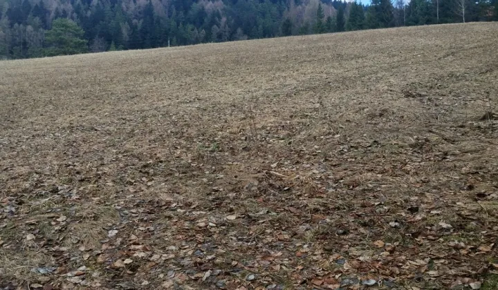 Działka budowlana Nowa Wieś