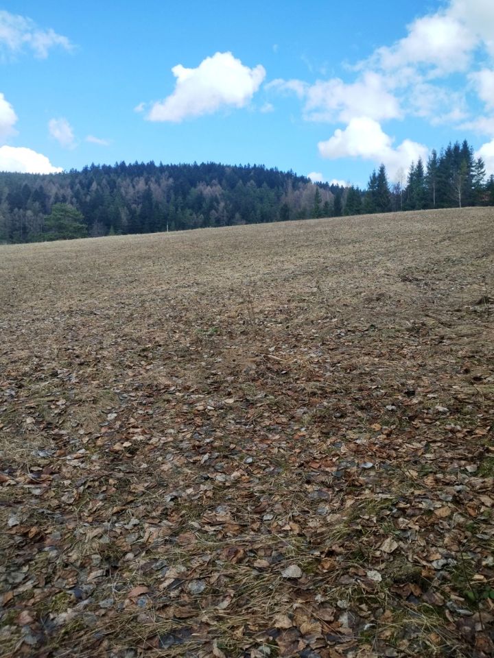 Działka budowlana Nowa Wieś. Zdjęcie 1