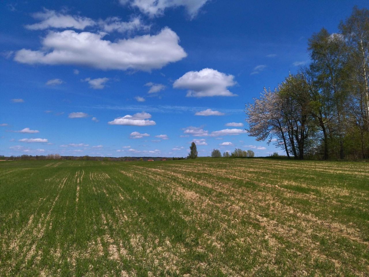 Działka budowlana Łączno. Zdjęcie 15