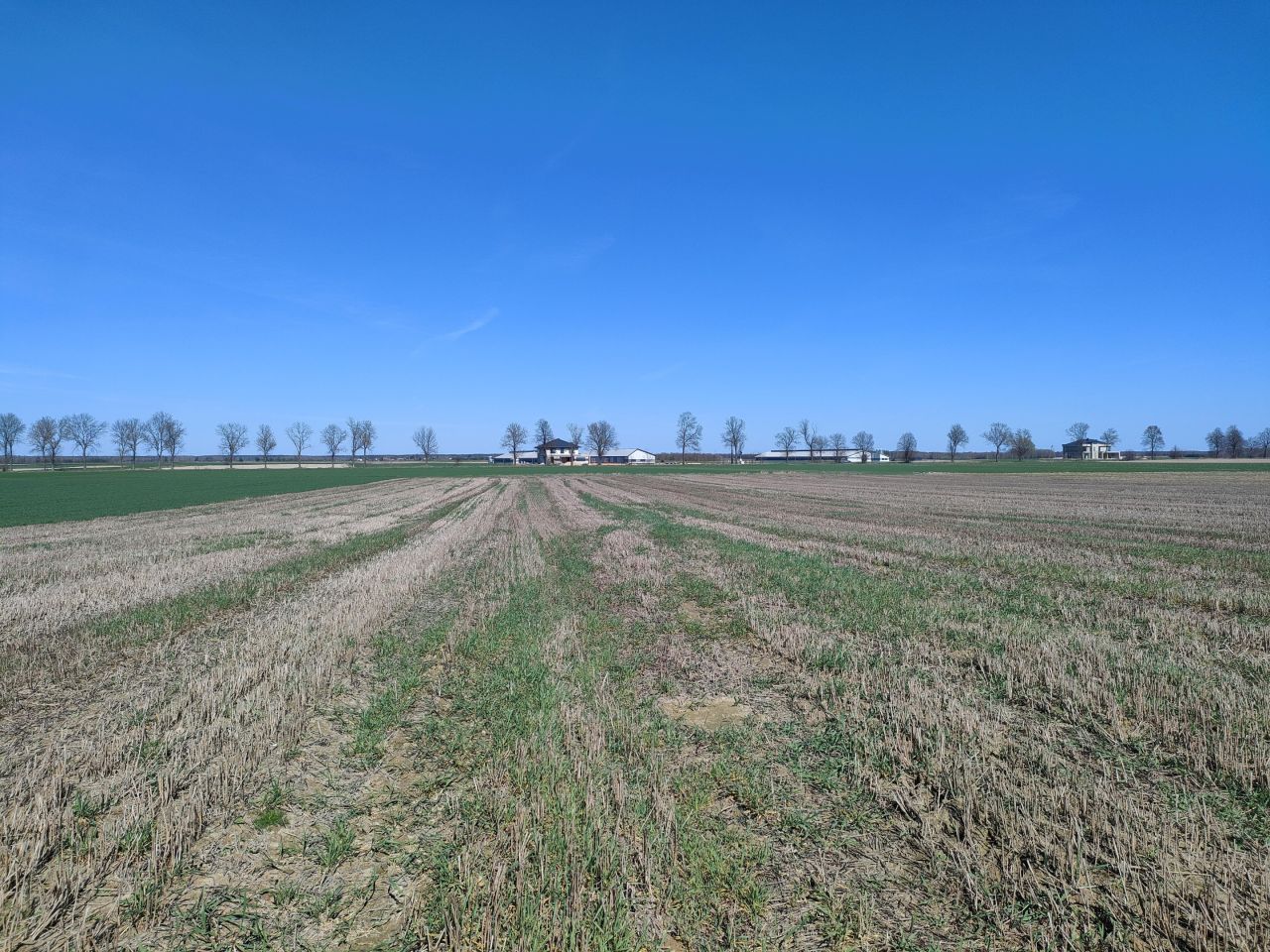 Działka rolna Ostrów Lubelski Dzielnica Lubelska, ul. Poniatowskiego. Zdjęcie 2