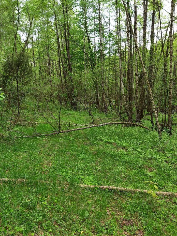 Działka budowlana Krzyżewo Nadrzeczne. Zdjęcie 3