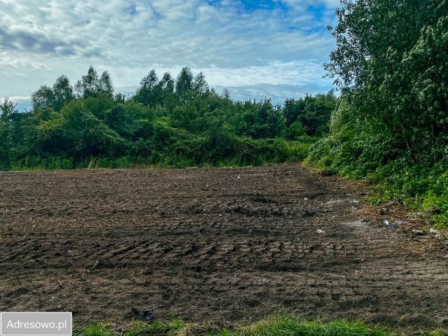 Działka rolna Gdańsk Olszynka, ul. Bluszczowa. Zdjęcie 1