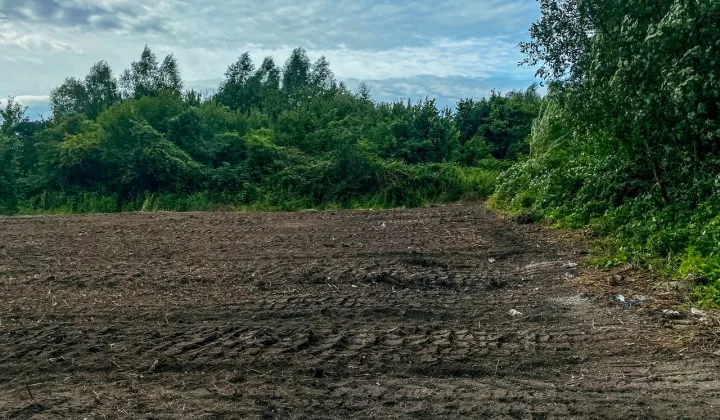 Działka rolna Gdańsk Olszynka, ul. Bluszczowa