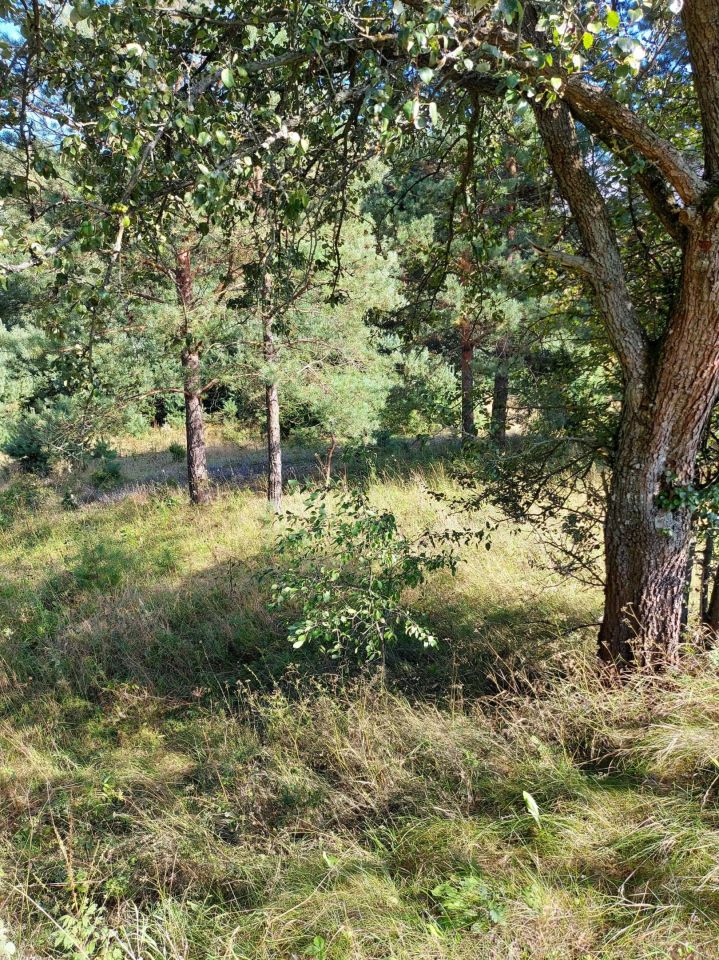 Działka siedliskowa Chraboły. Zdjęcie 5