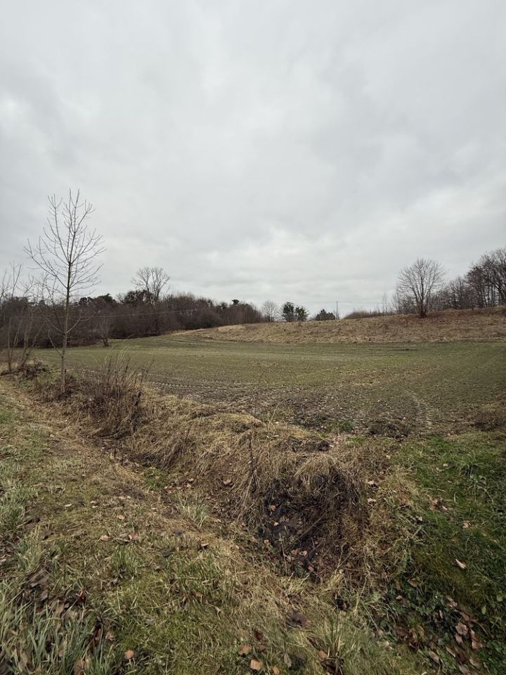 Działka rolna Orłów Murowany-Kolonia. Zdjęcie 2