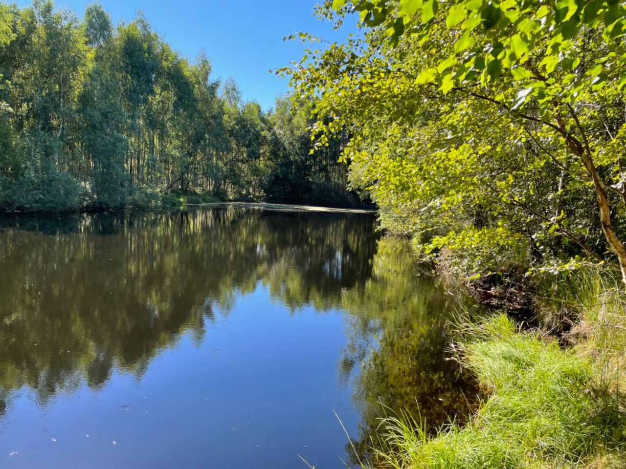 Działka budowlana Salino. Zdjęcie 3