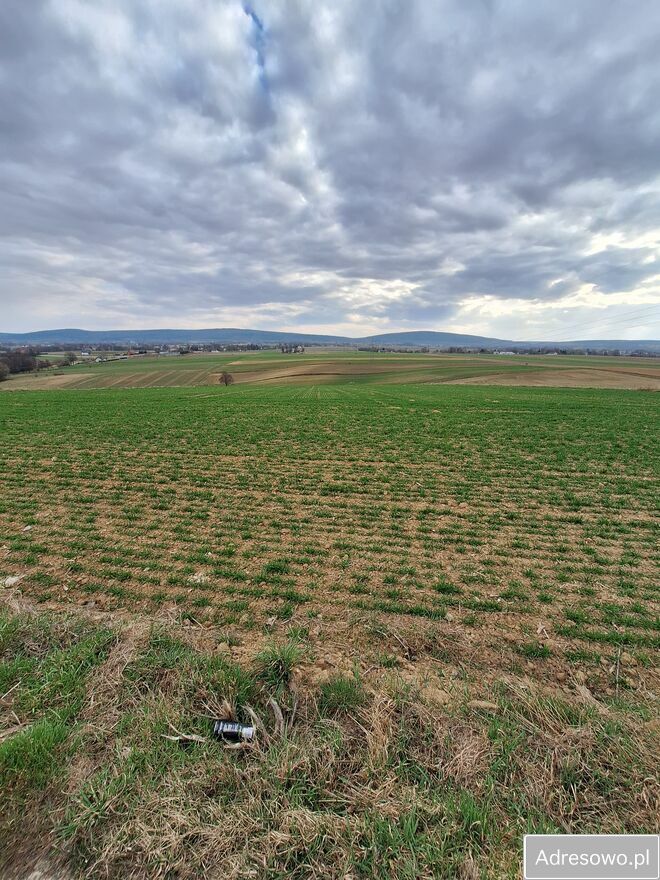 Działka rolna Grzegorzowice. Zdjęcie 4