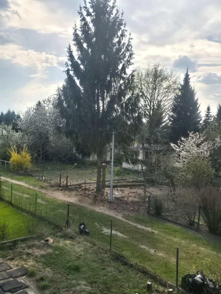 Działka rod Poznań Głuszyna, ul. Przy Lotnisku. Zdjęcie 4