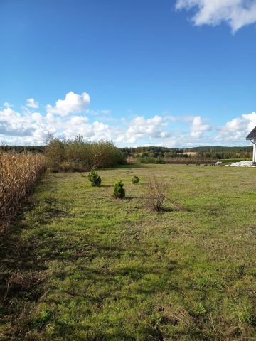 Działka rolno-budowlana Pruska Łąka. Zdjęcie 3