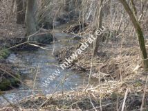 Działka budowlana Wola Pękoszewska. Zdjęcie 4